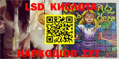 дживик Тара