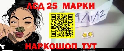 шишки Изобильный