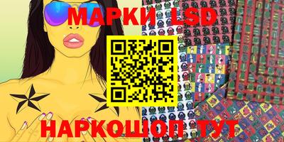 шишки Изобильный