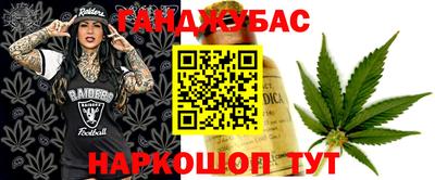 шишки Изобильный