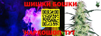 шишки Изобильный
