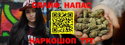 шишки Изобильный