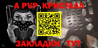 шишки Изобильный